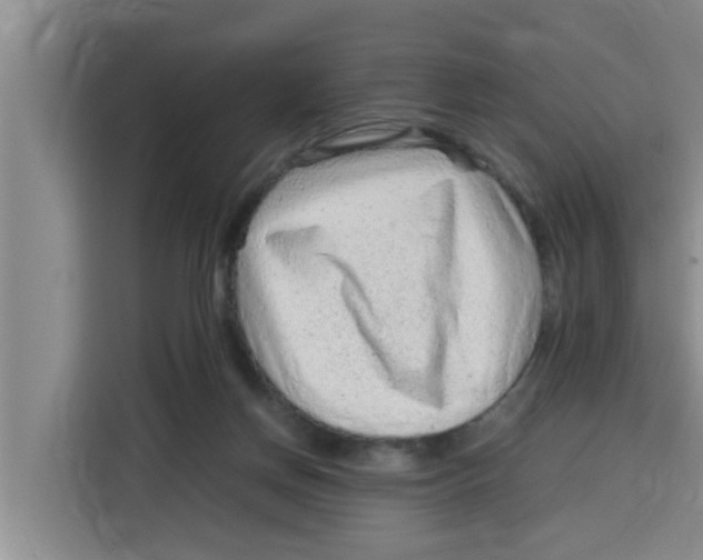 X0000115150166200911241536