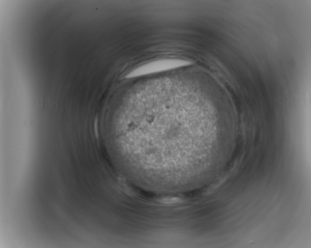 X0000115150169200911241536