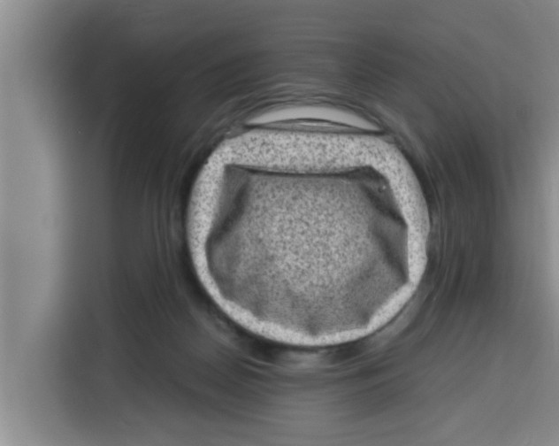 X0000115150170200911241536