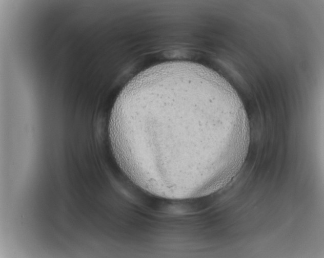 X0000115150171200911241536