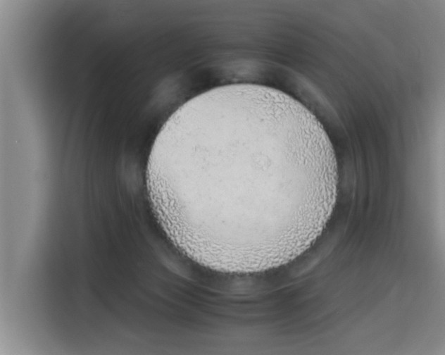 X0000115150173200911241536