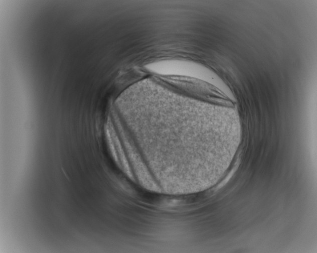 X0000115150174200911241536