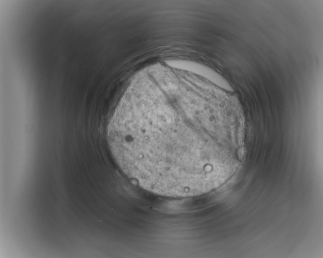 X0000115150178200911241536