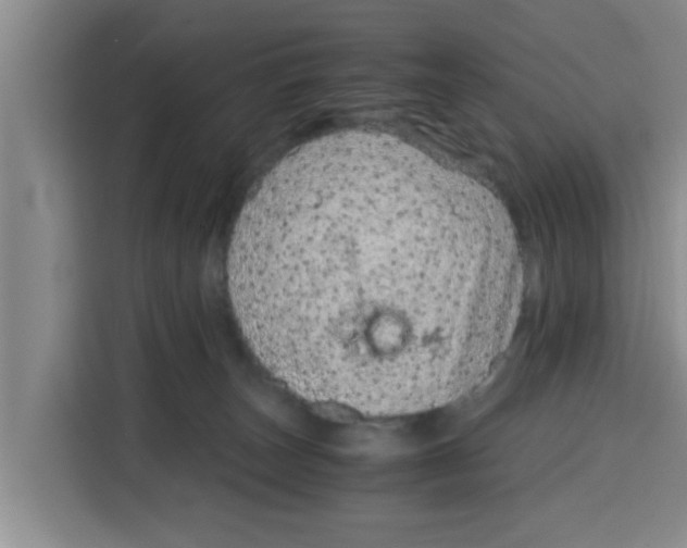 X0000115150179200911241536