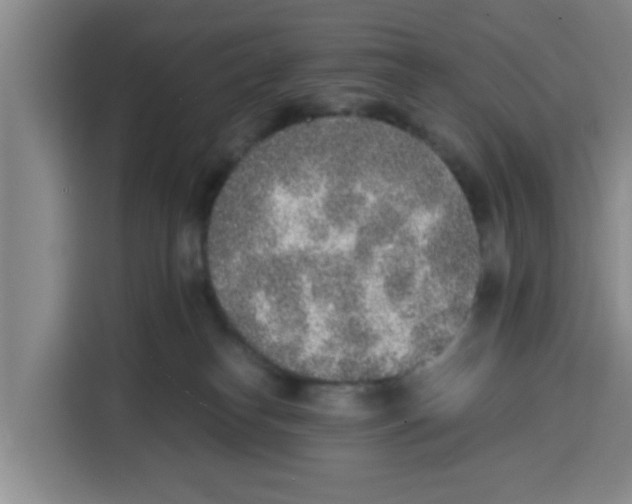 X0000115150182200911241536