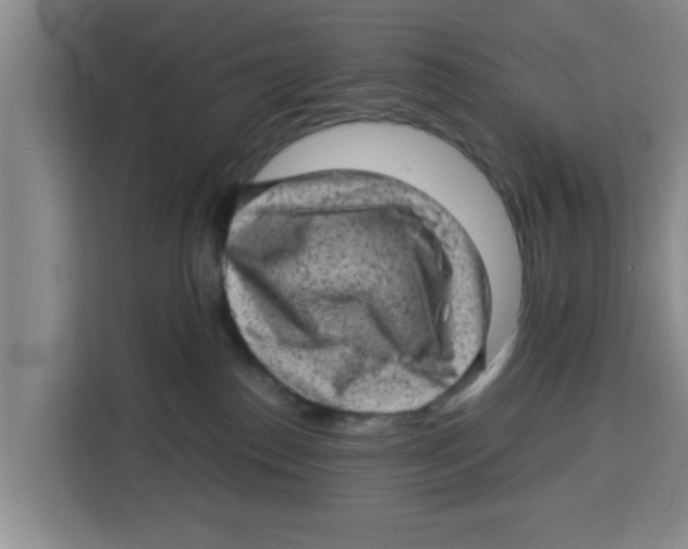 X0000115150186200911241536