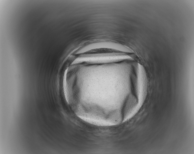 X0000115150194200911241535