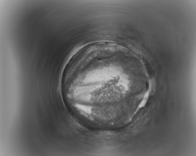 X0000115150195200911241535