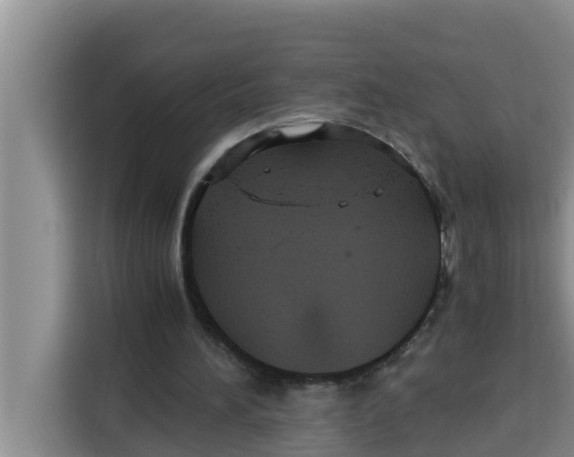 X0000115150196200911241535