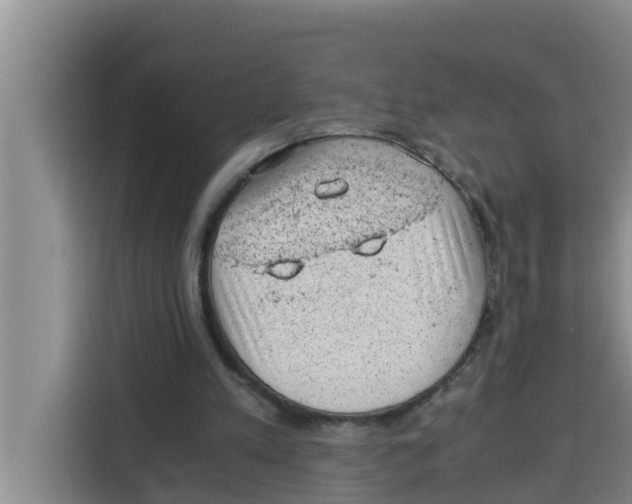 X0000115150197200911241535