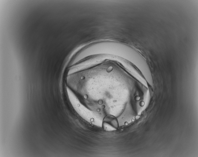 X0000115150200200911241535