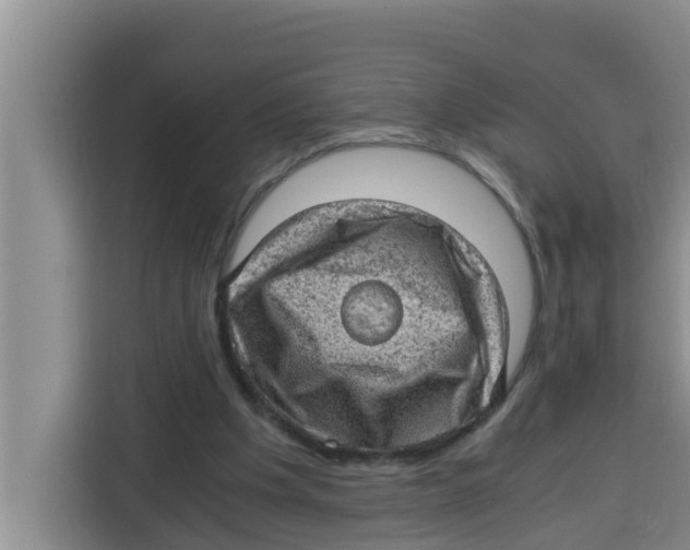 X0000115150201200911241535