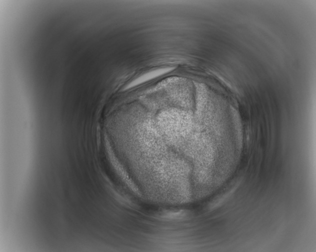 X0000115150206200911241535