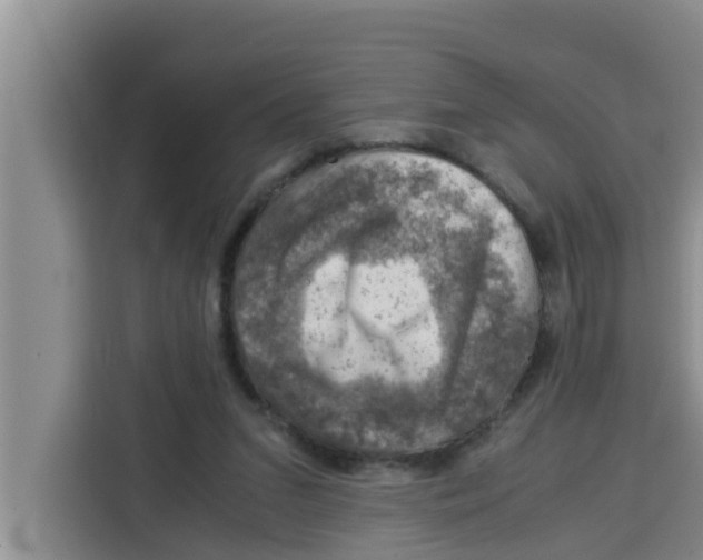 X0000115150207200911241535