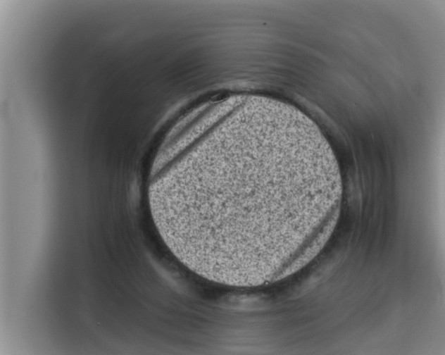 X0000115150208200911241535