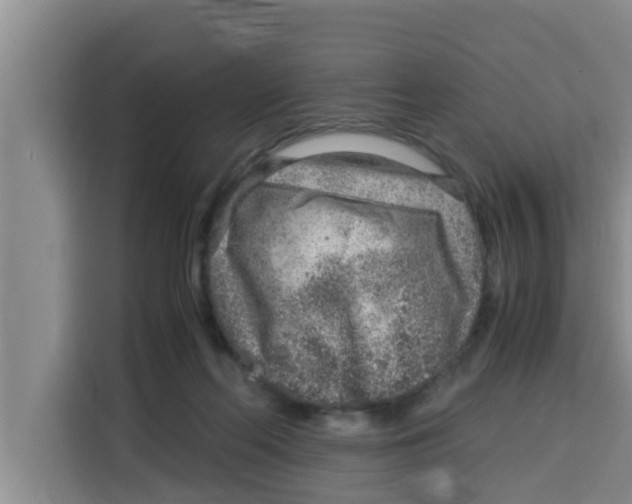 X0000115150214200911241535