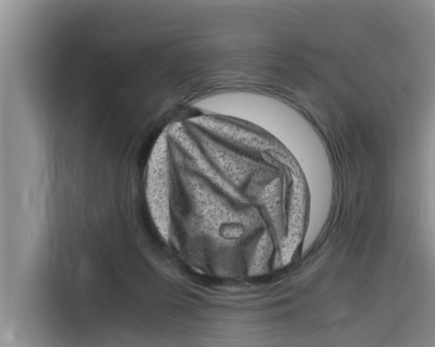 X0000115150215200911241535