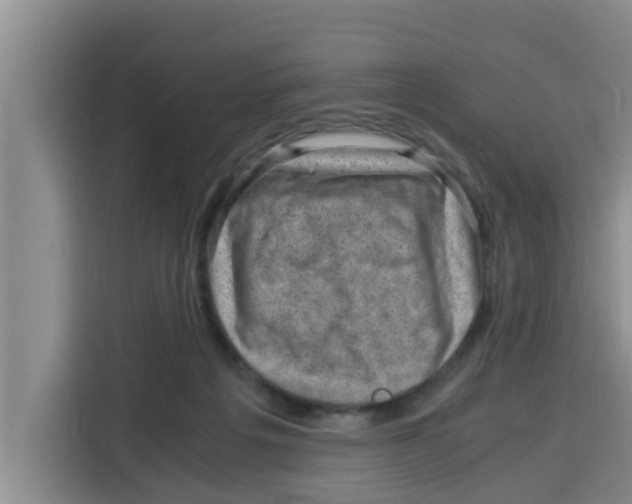 X0000115150217200911241535