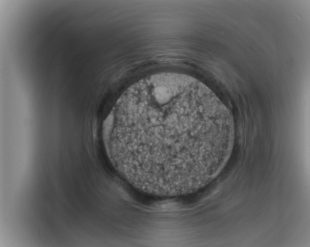 X0000115150219200911241535