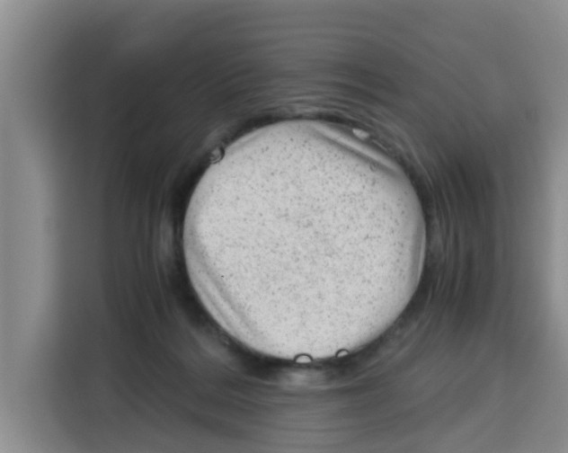 X0000115150220200911241535