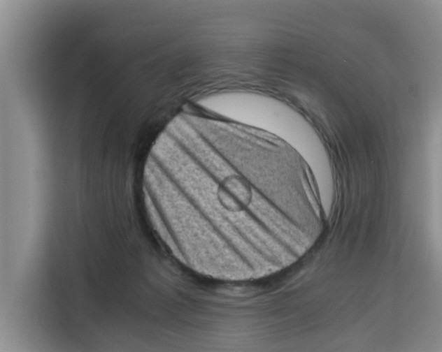 X0000115150221200911241535