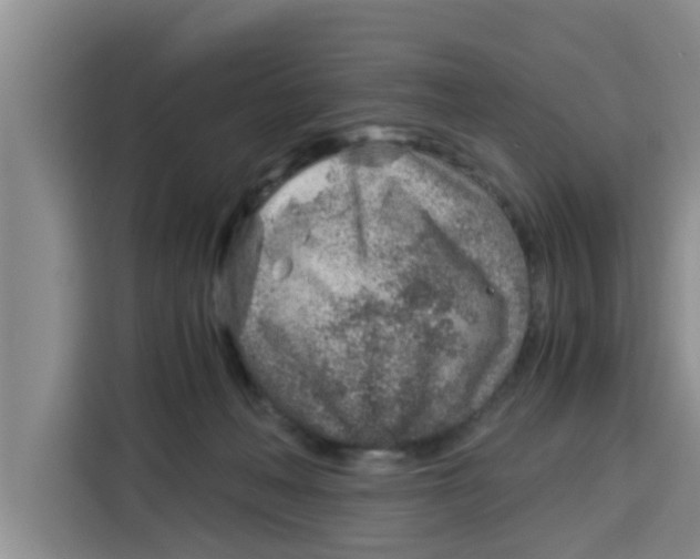 X0000115150222200911241535