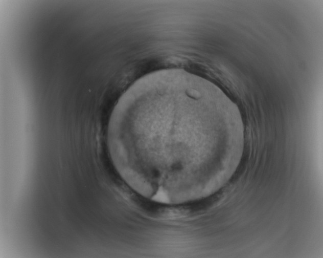 X0000115150223200911241535