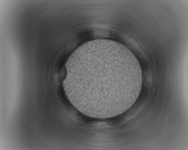 X0000115150224200911241535