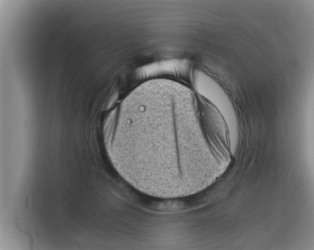 X0000115150225200911241535