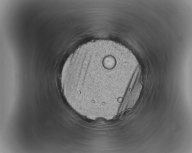 X0000115150229200911241535