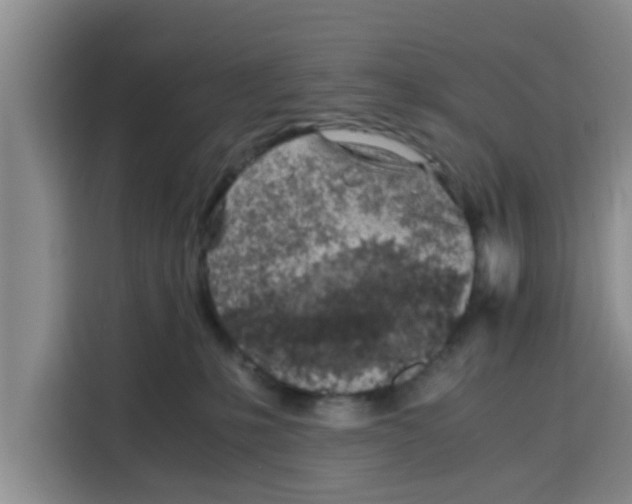 X0000115150231200911241535