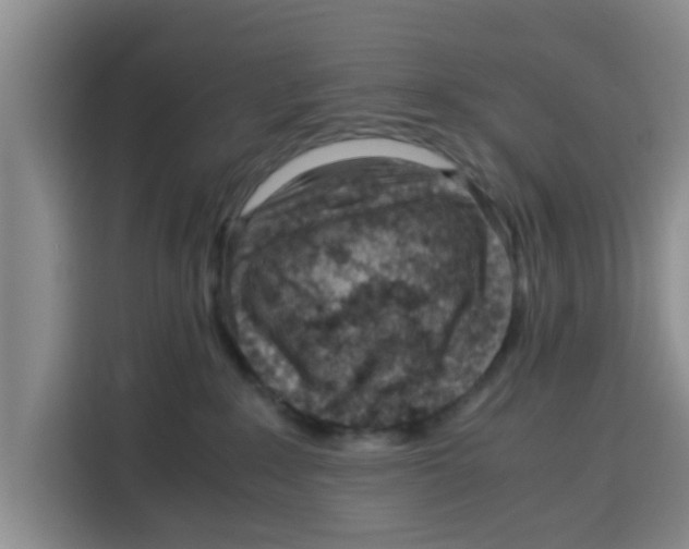 X0000115150235200911241535