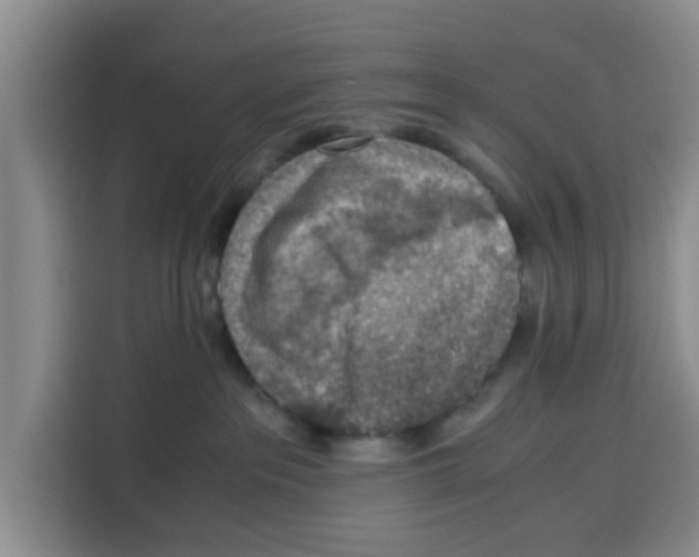 X0000115150237200911241535