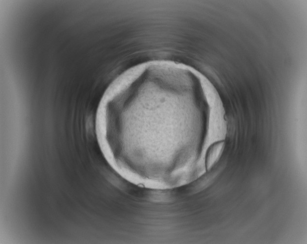 X0000115150238200911241535