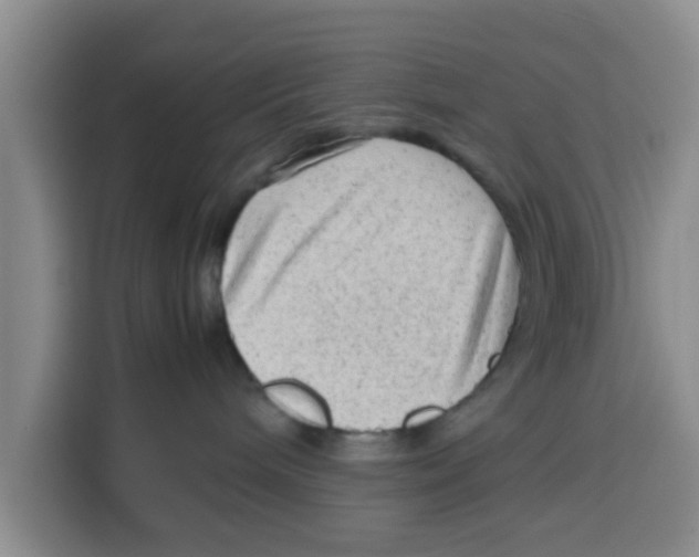 X0000115150240200911241535