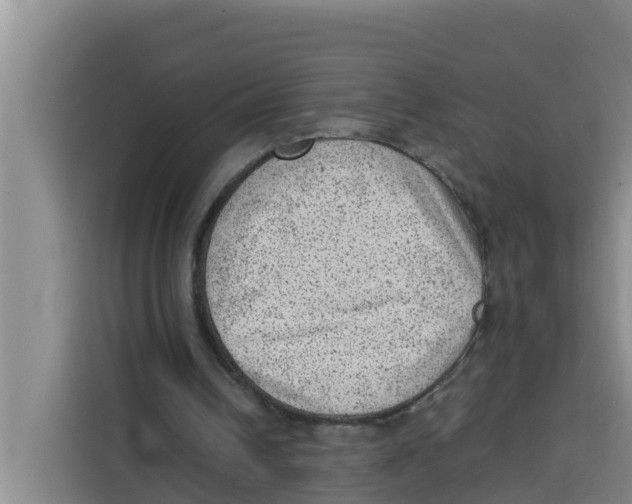 X0000115150242200911241534