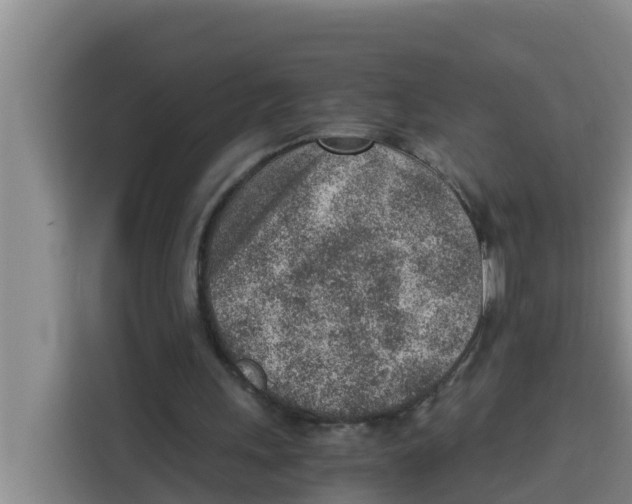 X0000115150243200911241534