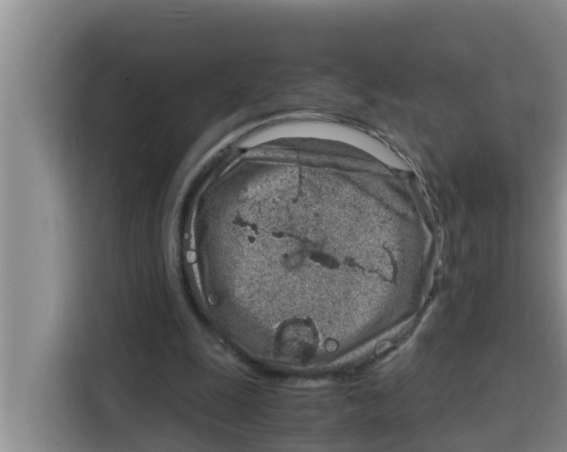 X0000115150247200911241534