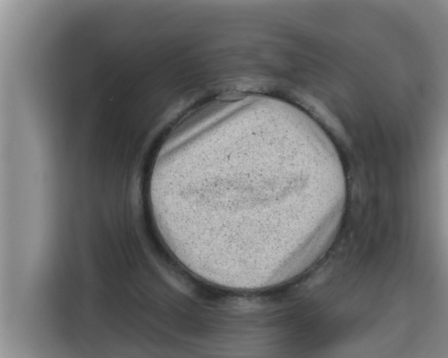 X0000115150250200911241534