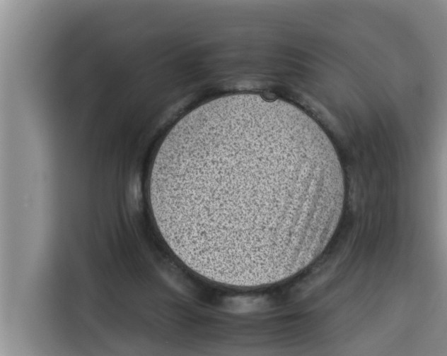 X0000115150251200911241534