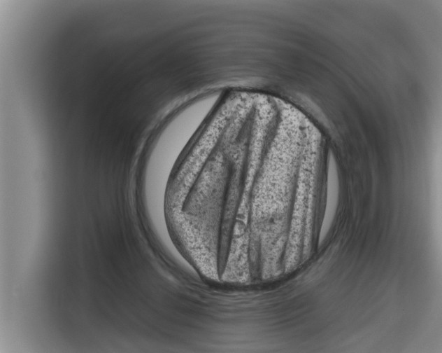 X0000115150252200911241534