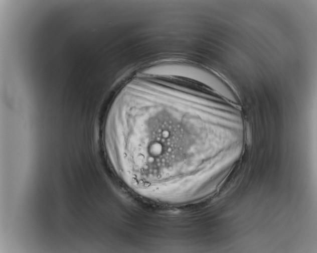 X0000115150253200911241534