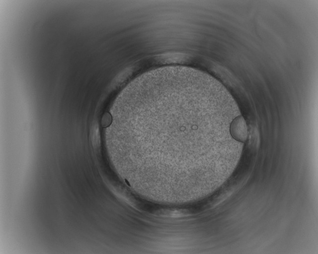 X0000115150254200911241534