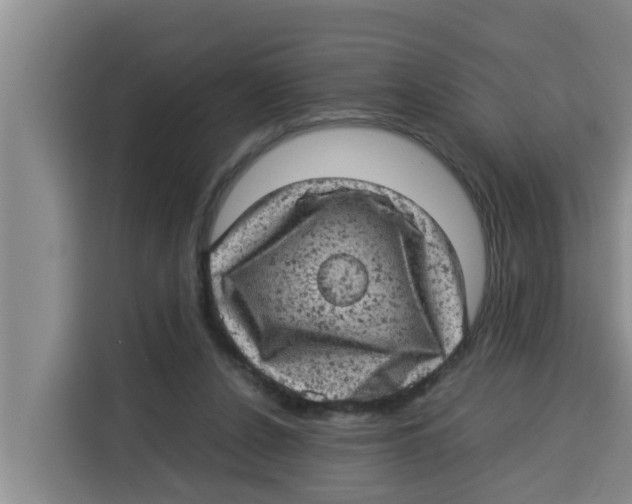 X0000115150256200911241534