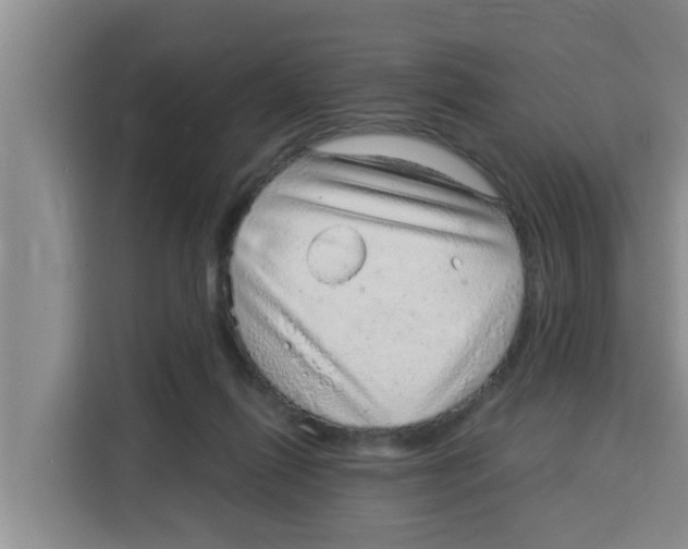 X0000115150262200911241535