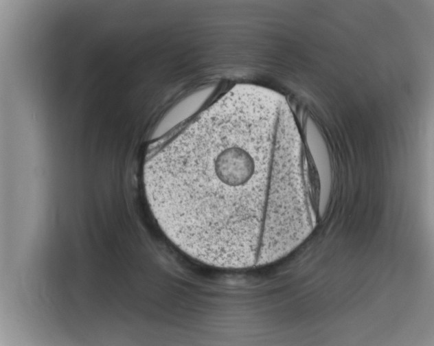 X0000115150264200911241535