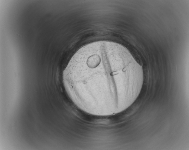 X0000115150266200911241535