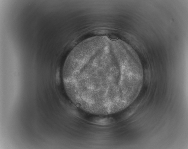 X0000115150267200911241535