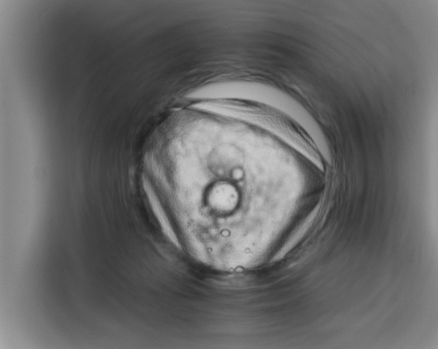 X0000115150269200911241535