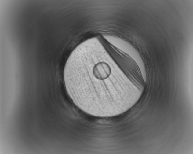 X0000115150272200911241535